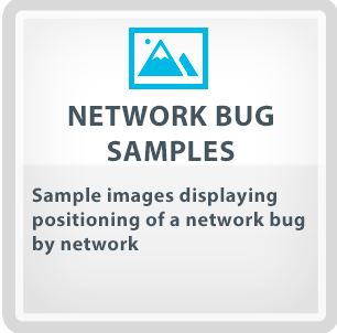 Network Bug Samples